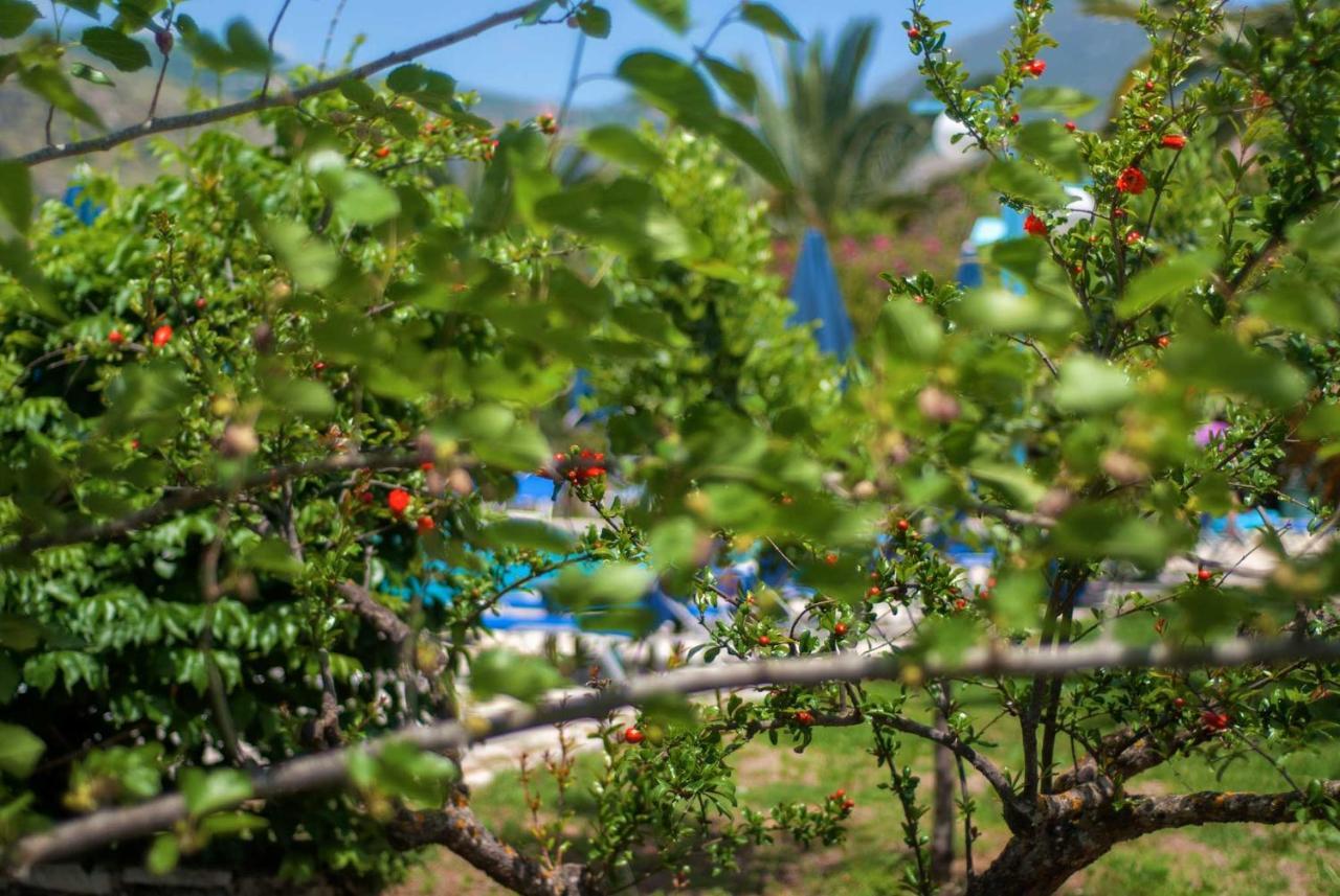 Efrosini Village Katelios Exterior photo